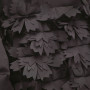Пуховик ADD 006-8749
