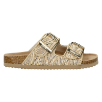 Шлепанцы Colors of California