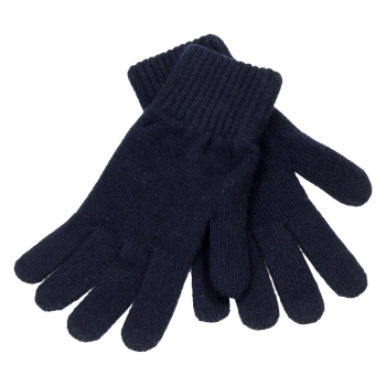 Перчатки Goia Roberto Guanto donna-101т-син