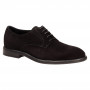 Дерби Giampiero Nicola 41351