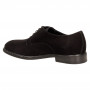 Дерби Giampiero Nicola 41351