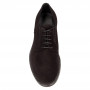 Дерби Giampiero Nicola 41351