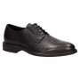 Дерби Giampiero Nicola 42701