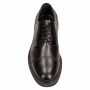 Дербі Giampiero Nicola 37306чёр