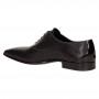 Оксфорды Alessandro Dell'Acqua 7650
