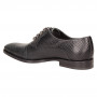 Оксфорды Alessandro Dell'Acqua 4600