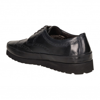 Туфлі Aldo Brue 808